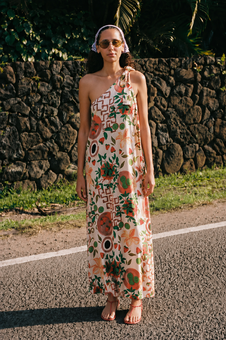 The Paloma Dress